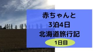 赤ちゃんと北海道旅行4日目最終日は洞爺湖遊覧船し そのまま新千歳空港へ ゆたんぽぽ通信